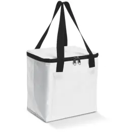 Arctic 12-Can Cooler Unbranded